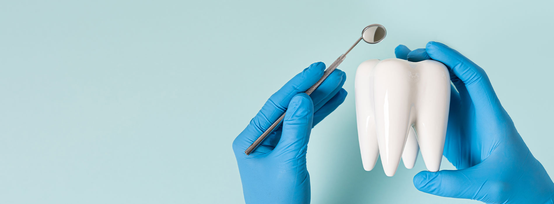 Adam L. Bear DDS